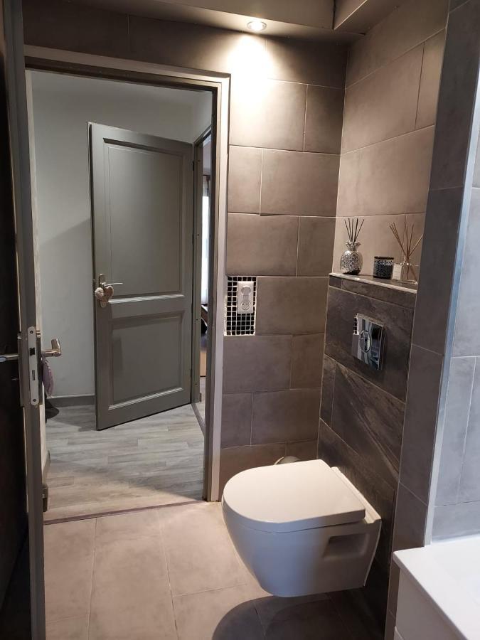 Residence Du Vieux Chateau Jardin & Parking Gratuit Мюлуз Экстерьер фото