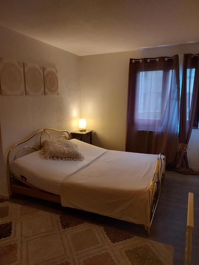 Residence Du Vieux Chateau Jardin & Parking Gratuit Мюлуз Экстерьер фото